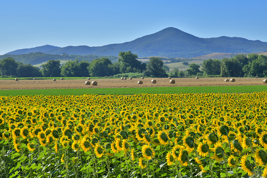 Campagna nostra 02